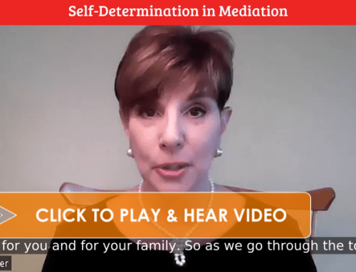 Self-Determination in Mediation: Making Your Own Decisions for the Future [VIDEO]