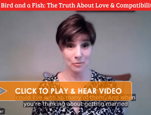 A Bird and a Fish: The Truth About Love & Compatibility [VIDEO]